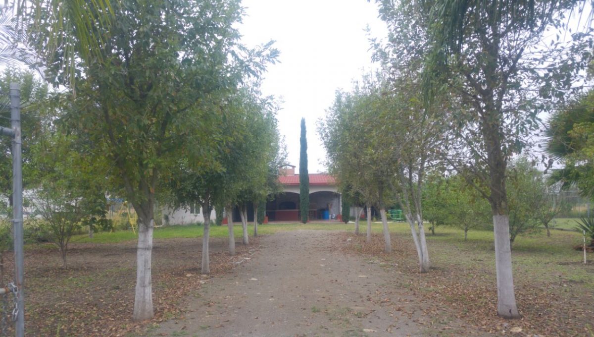 Entrada
