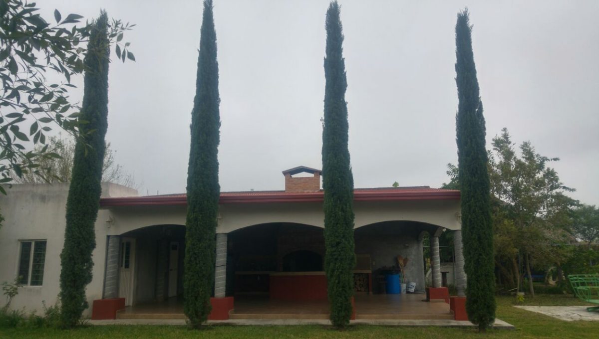 Palapa1